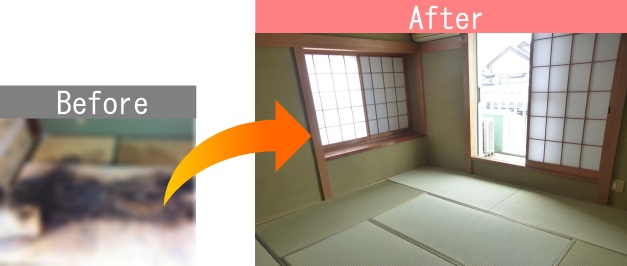 特殊清掃の一例