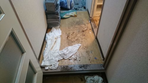 大阪市都島区の特殊清掃・遺品整理の写真
